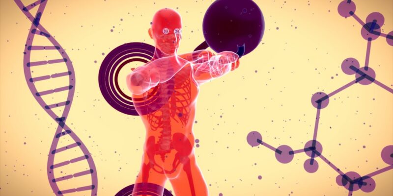 Hacking Health Camp Strasbourg : 50h pour innover en santé