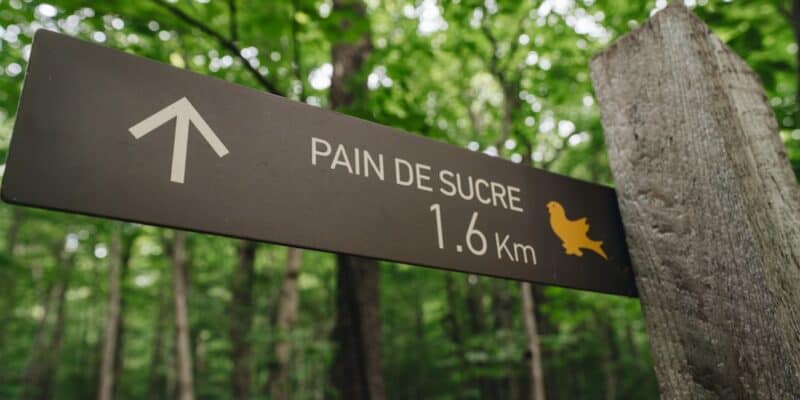 Le parcours de soins coordonnés