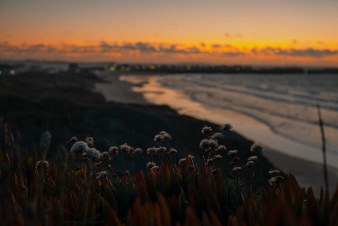 E-sante: 8000 maladies rares revelees