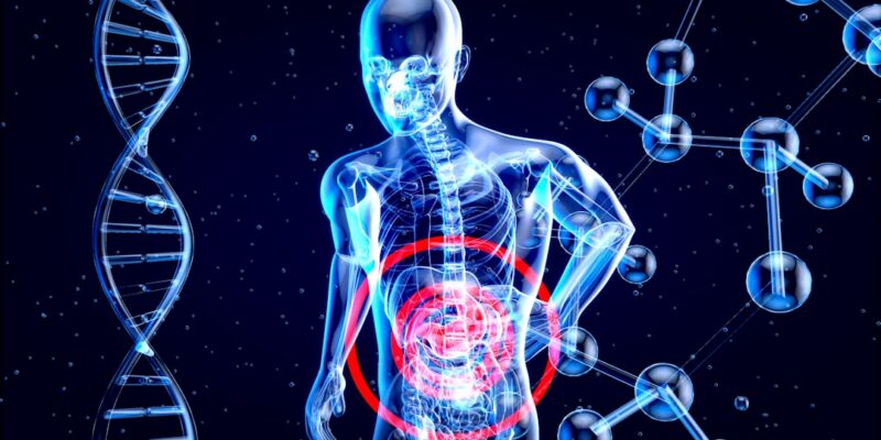 Trophées de la Santé Mobile et baromètre Pages Jaunes